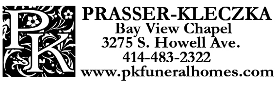 link logo